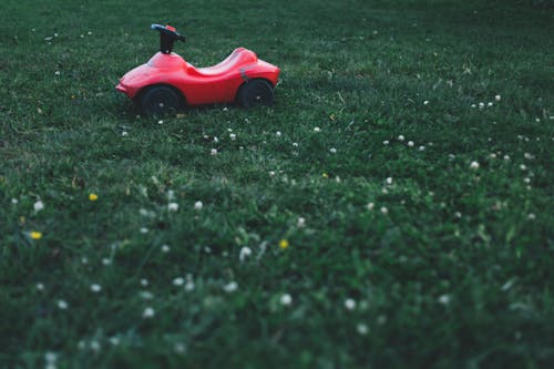 Fotos de stock gratuitas de al aire libre, atracción, césped