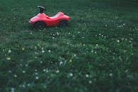 一辆红色的玩具车停在绿草如茵的草坪上，四周点缀着小野花