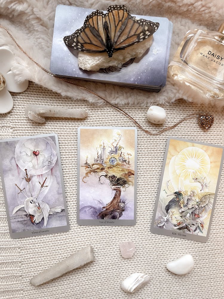 Preserved Butterfly And Tarot Cards