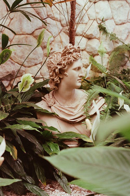 Greek stature surrounded by greenery
