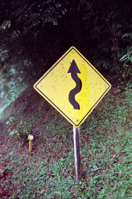 Free Winding Road Warning Sign Near the Forest Stock Photo