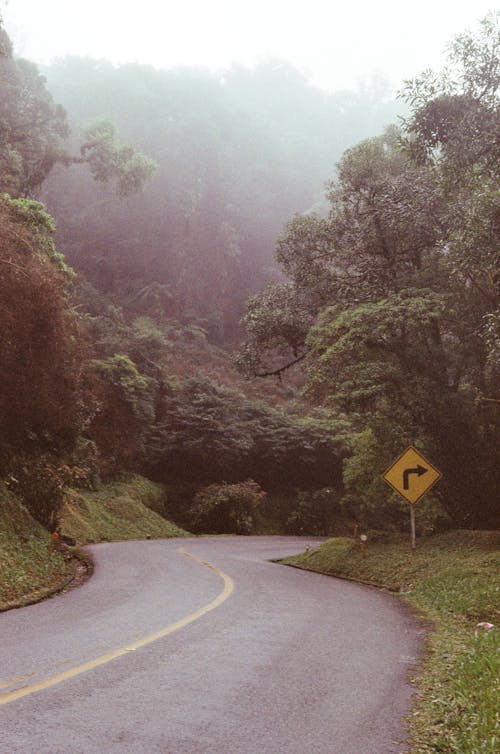 Δωρεάν στοκ φωτογραφιών με αυτοκινητόδρομος, βουνό, δέντρα