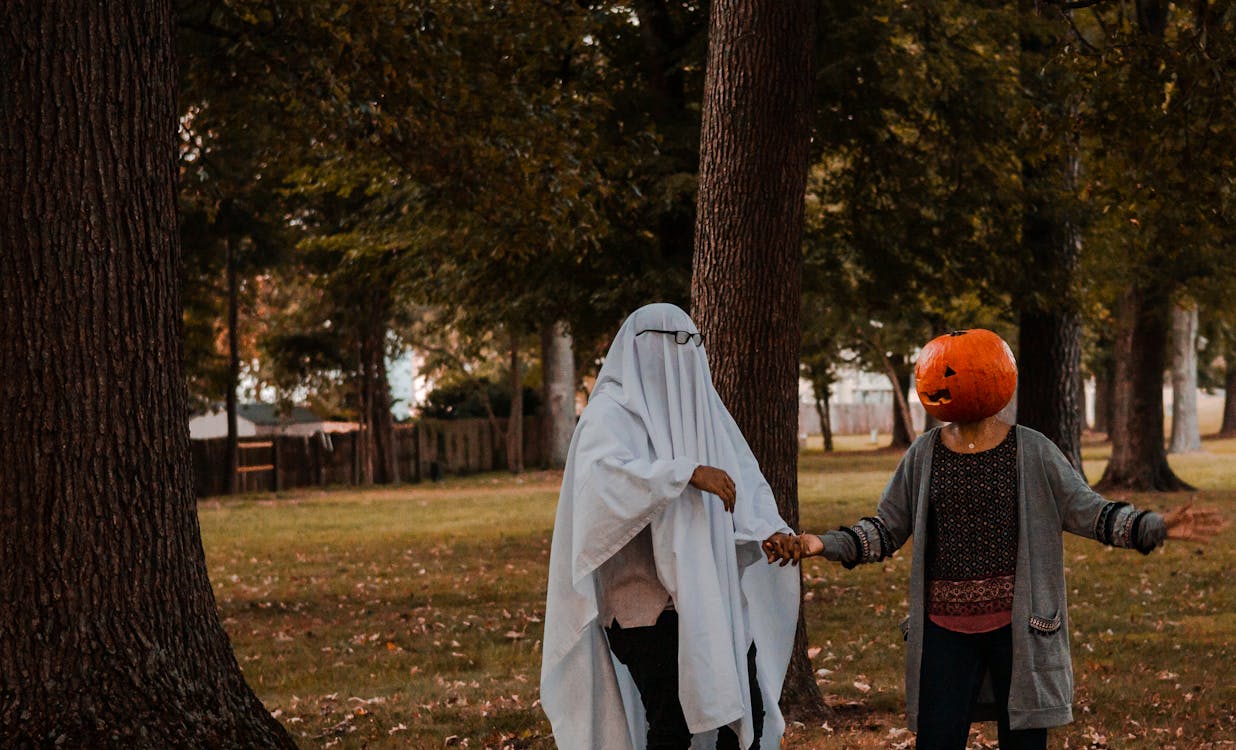 Free stock photo of autumn, autumn season, black Stock Photo