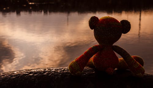 Kostnadsfri bild av avslappnad, ensam, nallebjörn