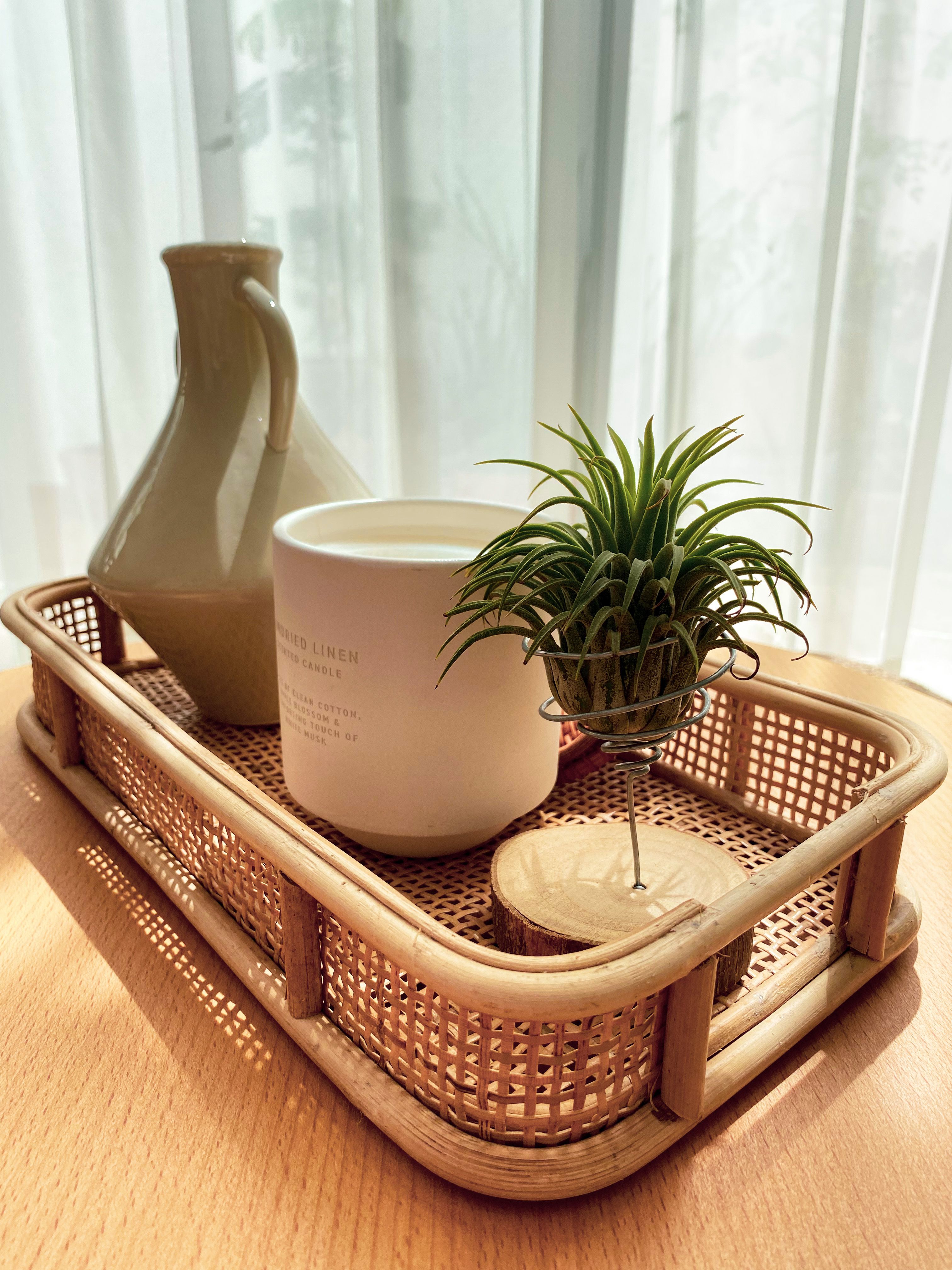 A stylish still life arrangement with a mug, pitcher, and plant in a wicker basket on a sunlit table.