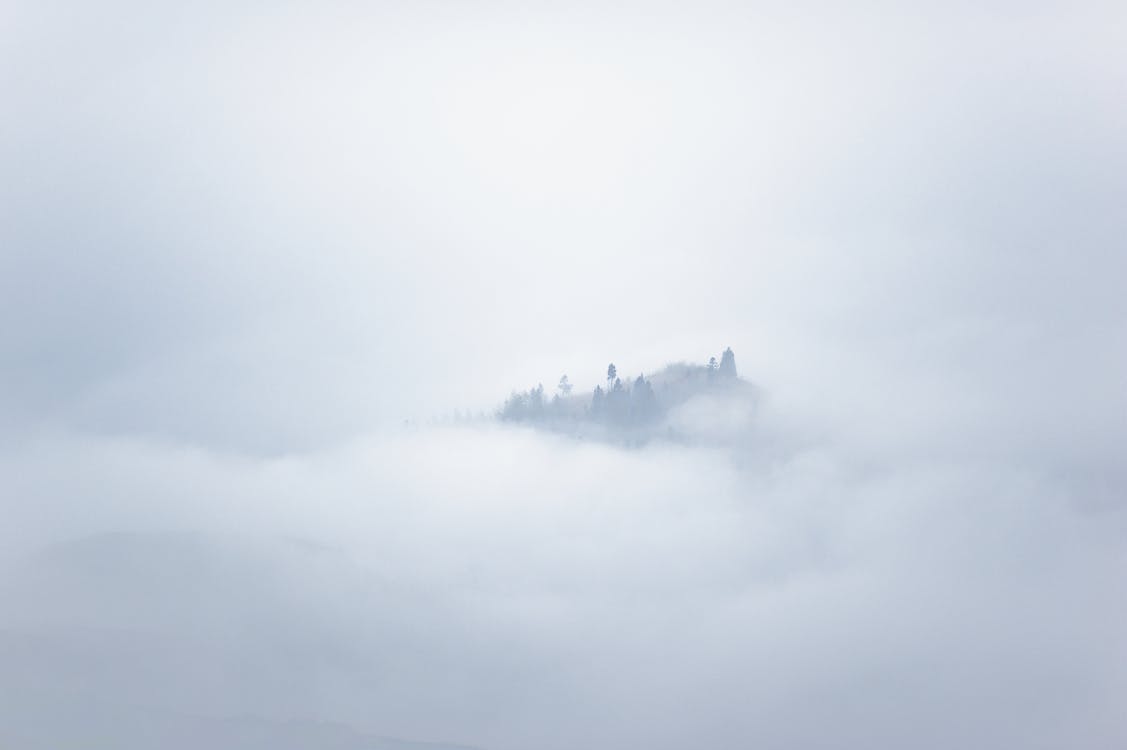 Gunung Berkabut