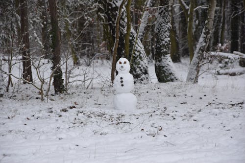 A Snowman on a Snow covered Forest