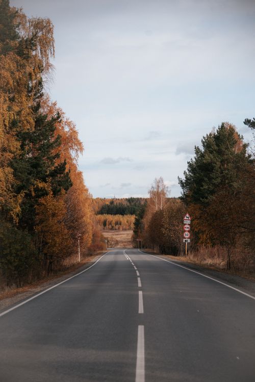Free Serene asphalt road flanked by autumn trees under a clear sky, perfect for travel themes. Stock Photo