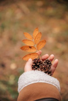 Close-up of a hand holding autumn leaves and pine cones, evoking a fall mood.
