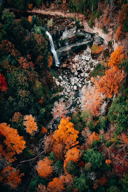 Drone Shot of Webster's Falls in Canada