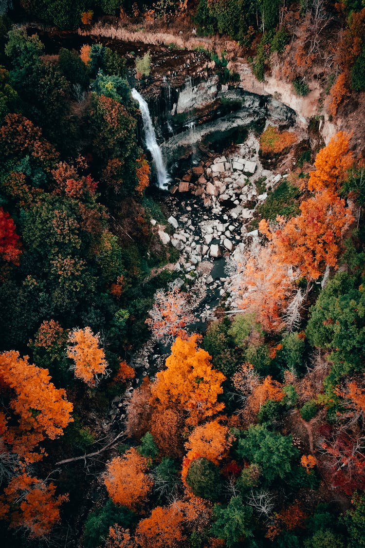 Drone Shot Of Webster's Falls In Canada