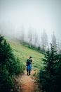 Person in Black Jacket Walking on Pathway Between Green Trees during Foggy Weather