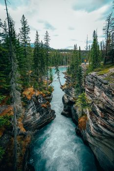 Breathtaking Alberta river gorge with lush forest and cliffs, showcasing pristine natural beauty.