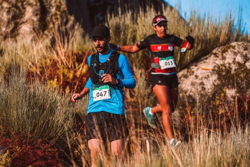 Free Two athletes running in a scenic outdoor trail marathon, showcasing endurance and fitness. Stock Photo