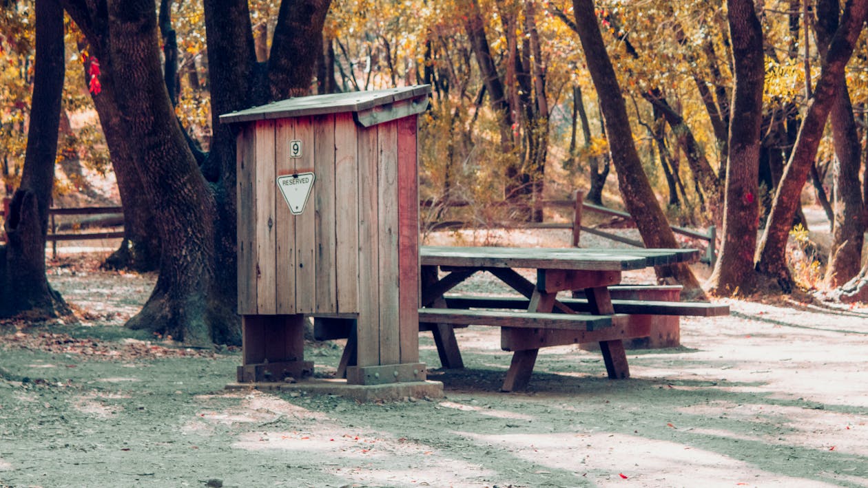 Gratis arkivbilde med benk, park, piknikbord