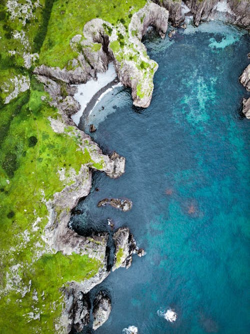 Aerial View of a Beach