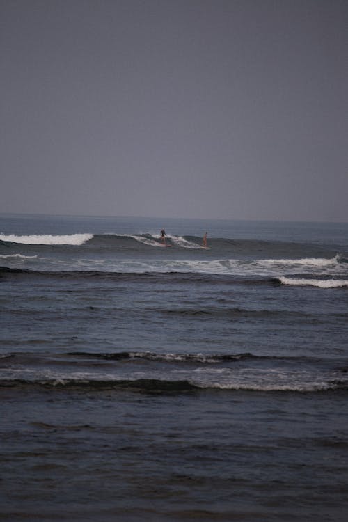 People Surfing