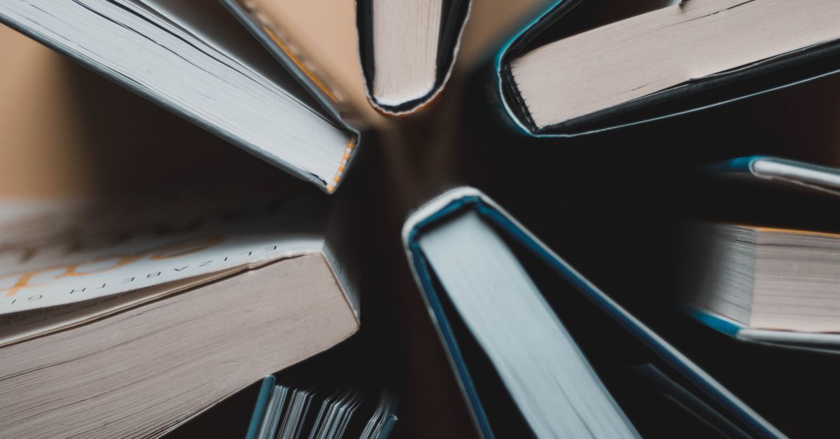 Photo: Nataly Q. / Pexels The Book of Birds wins the Wainwright prize book of the year