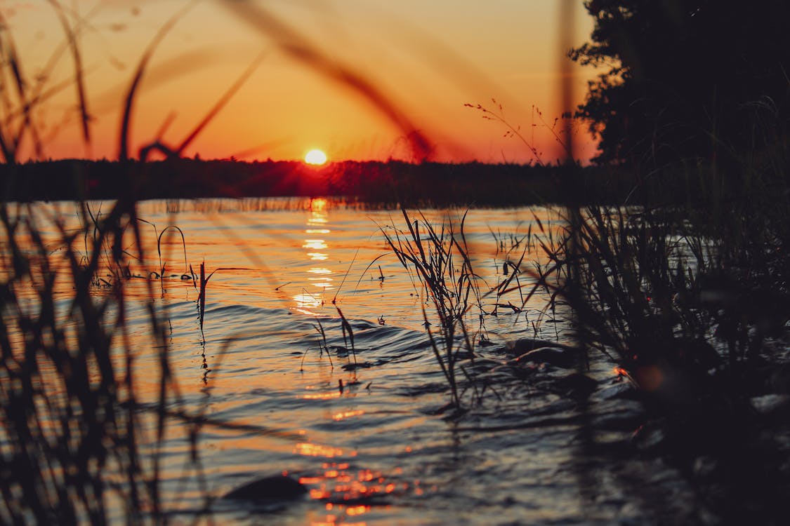 Fotobanka s bezplatnými fotkami na tému magická hodina, malebný, oranžová obloha