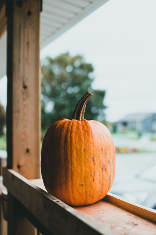 Free A single orange pumpkin sitting on a wooden ledge with a blurred outdoor background. Stock Photo