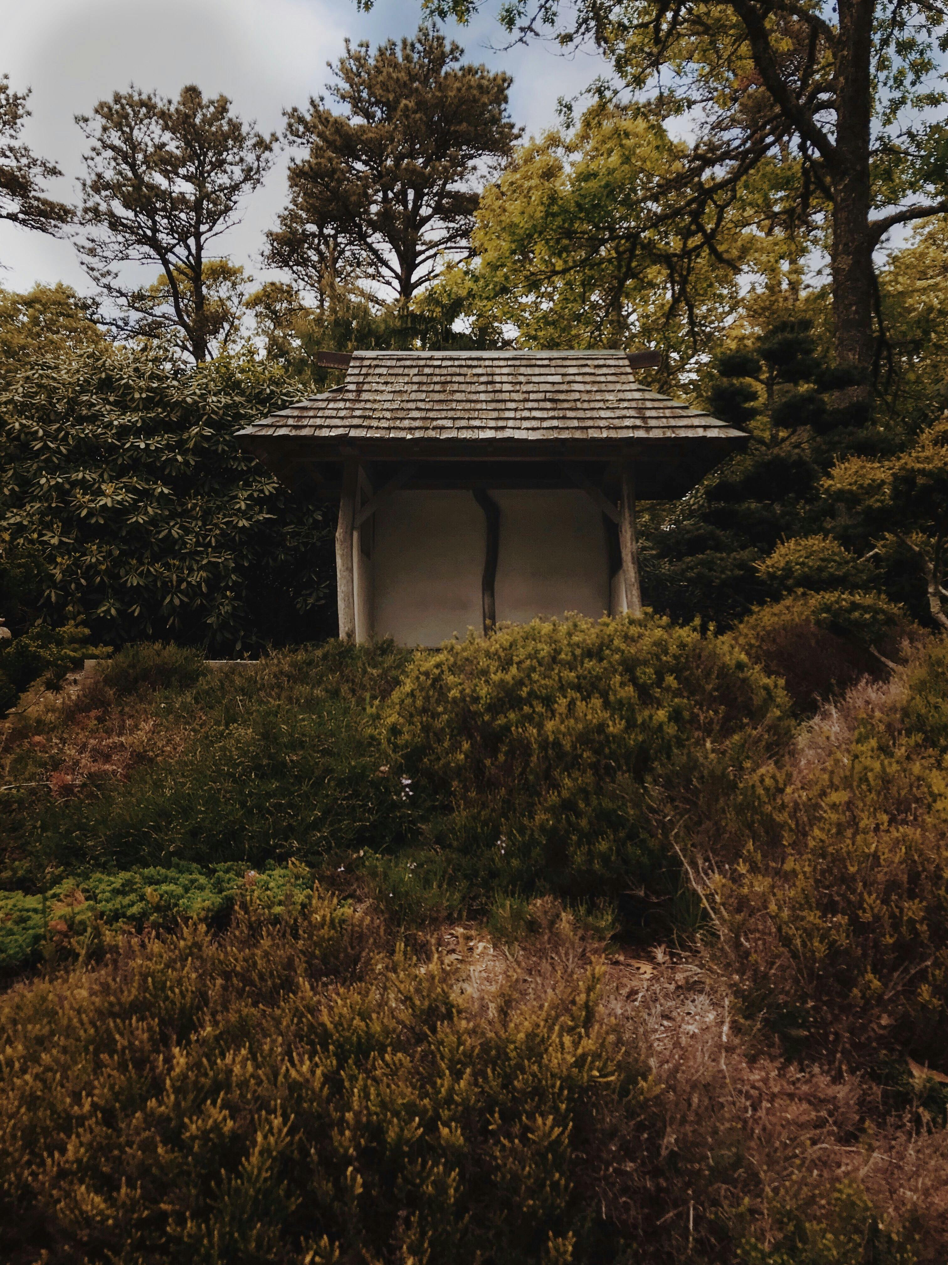 What height can I build a shed in my garden?