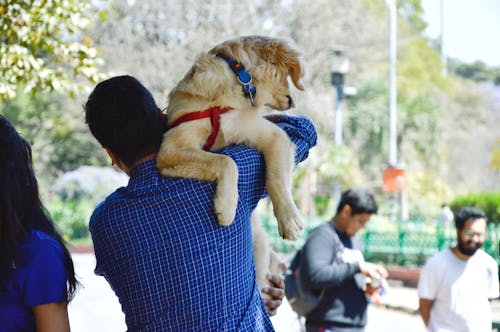 Hombre En Camisa De Manga Larga Azul Con Perro