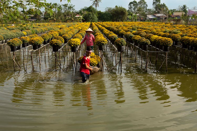 Man And Woman In Sa Dec Flower Village