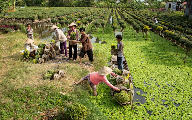 People Working In Sa Dec Flower Village