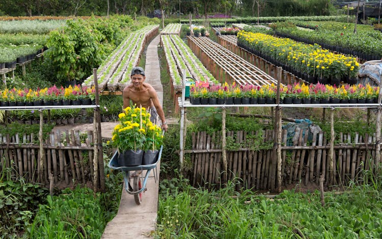 Man Pushing A Wheelbarrow