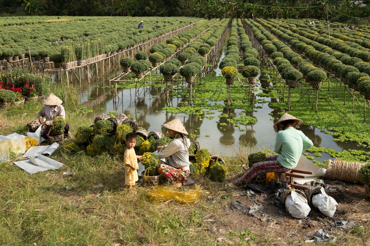 People Working In Sa Dec Flower Village