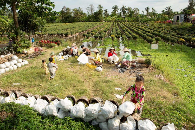 Workers With Bags On Farm