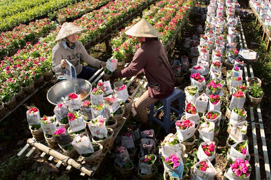 Two People Wearing Conical Hats Arranging Plants with Flowers with the Quote "First-rate people hire first-rate people; second-rate people hire third-rate people." written on it and have average color value #675C4A