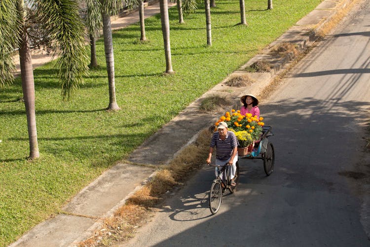 Woman With Flowers In Cart On City Street