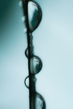 Captivating close-up of translucent raindrops delicately hanging on a grass blade, showcasing nature's simplicity.