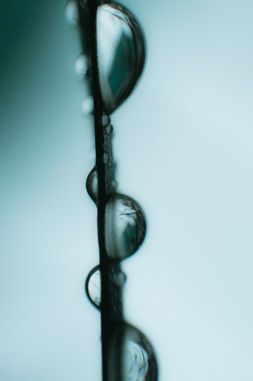 Free Captivating close-up of translucent raindrops delicately hanging on a grass blade, showcasing nature's simplicity. Stock Photo