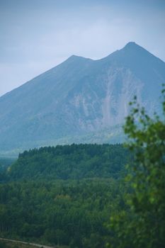 A stunning view of a lush forest with a towering mountain in the background under a cloudy sky.
