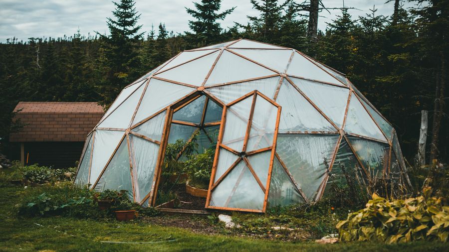Solar Panels, Insulation, Rainwater: The Green Upgrades I Actually Did