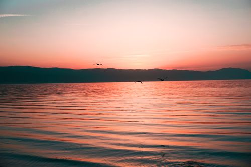 Free A tranquil sunset over a calm sea with silhouetted birds flying, creating a peaceful nature scene. Stock Photo