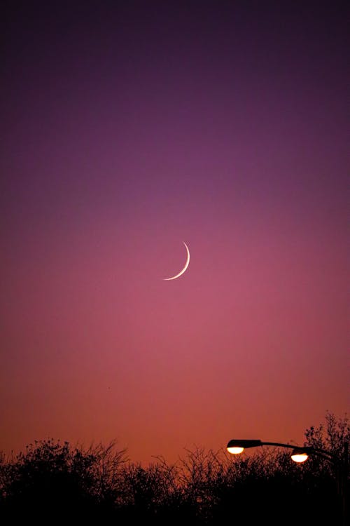 Crescent Moon in the Sky