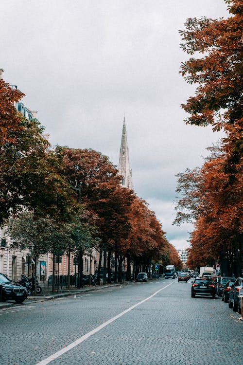 City Street with Golden Trees in Autumn