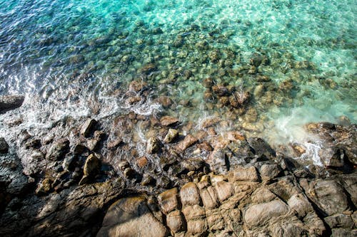 Free Brown Rocks on Blue Sea Water Stock Photo