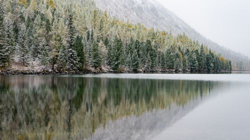 Free Serene reflection of a winter forest on a calm mountain lake surrounded by snow. Stock Photo