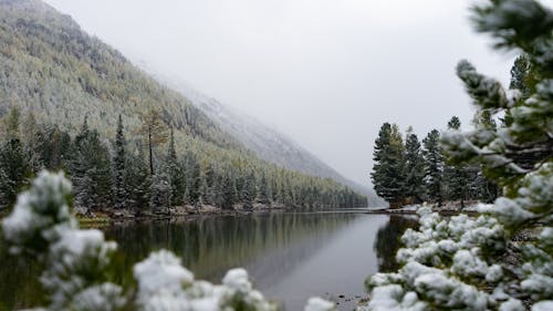 Foto profissional grátis de cênico, inverno, lago