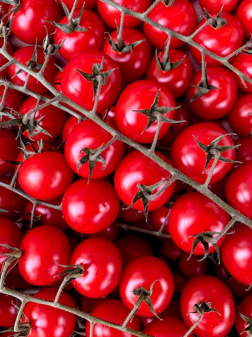 건강한, 과일, 빨간 토마토의 무료 스톡 사진