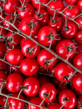Vibrant red cherry tomatoes on the vine, showcasing freshness and healthy nutrition.