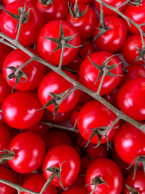 Foto d'estoc gratuïta de brillant, cirerols, deliciós