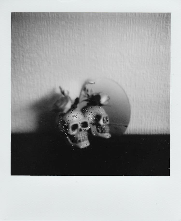 Artificial Skull Reflecting In Mirror Leaning Against Wall