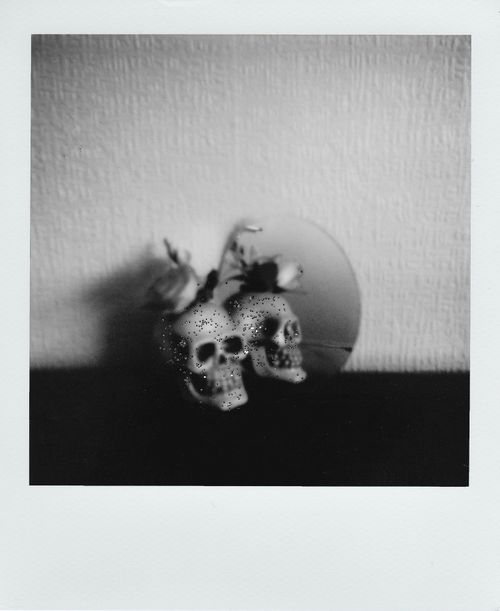 Free Monochrome image of skulls reflected in a mirror with artistic composition. Stock Photo