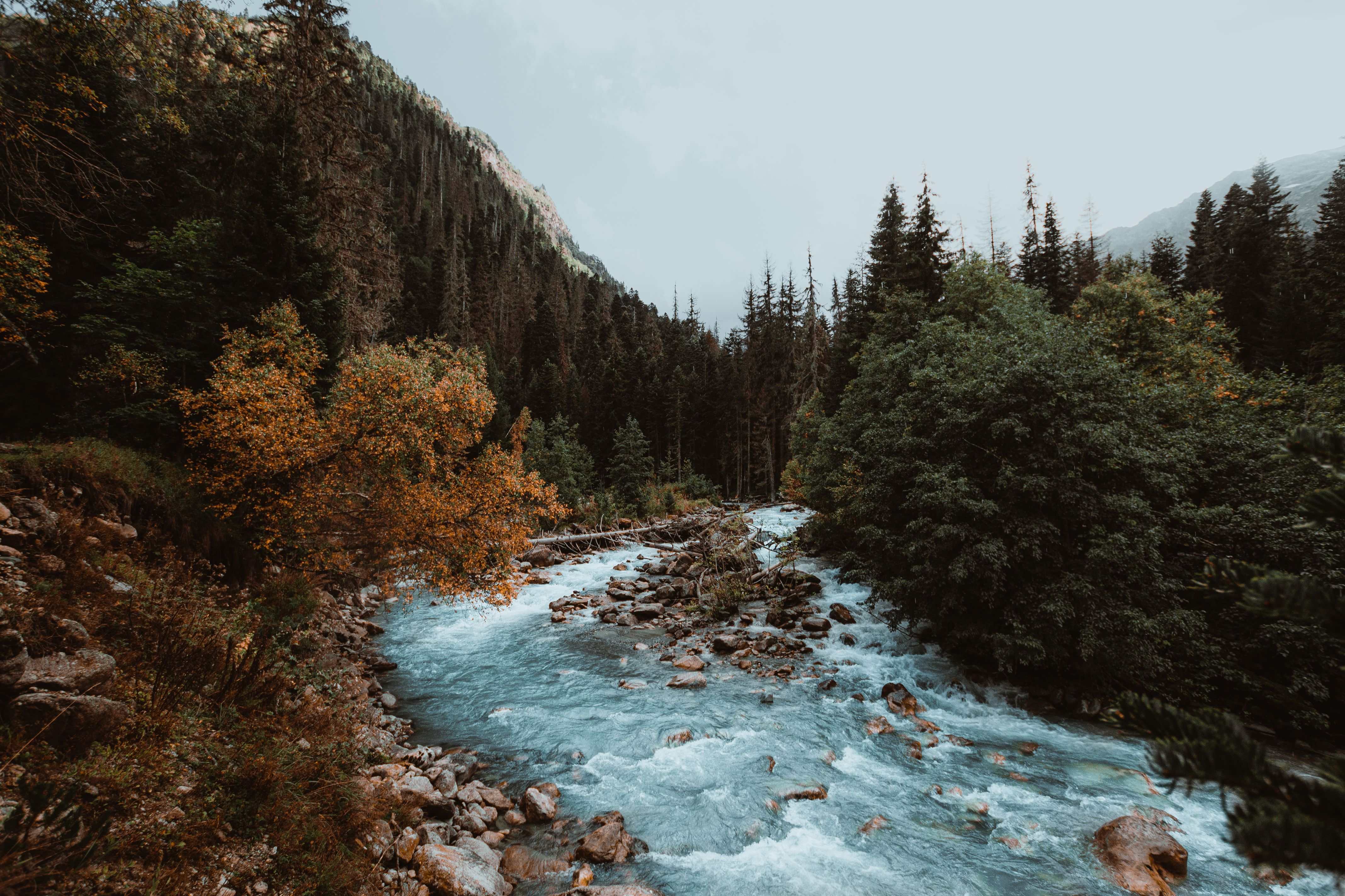 Río de montaña entre rocas