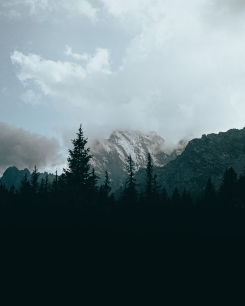 Free Dramatic snow-capped mountains under cloudy skies with dark forest silhouette. Stock Photo